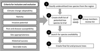 Selecting and Assessing Underutilized Trees for Diverse Urban Forests: A Participatory Research Approach